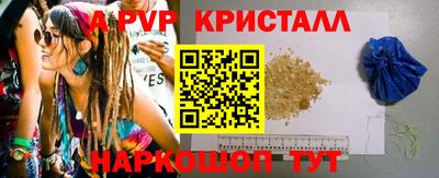 ECSTASY Гатчина