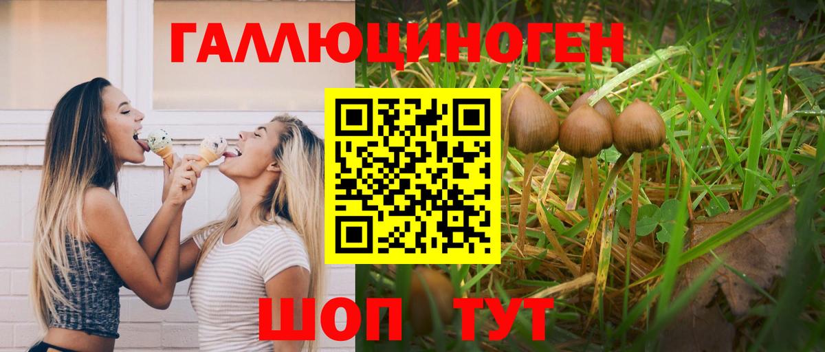 Гусь-Хрустальный  Псилоцибиновые грибы Psilocybine cubensis  Вход с VPN  Галлюциногенные грибы MAGIC MUSHROOMS 